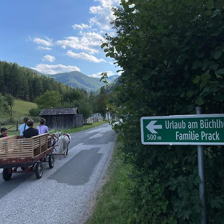 Apartamento Buechlhof - App. Himmelalm Lilienfeld Exterior foto